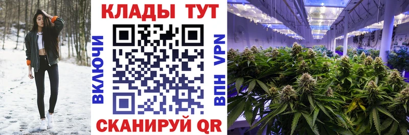 Купить наркотики цена Сенгилей Метамфетамин  Бошки Шишки  Амфетамин  Меф  A PVP  ГАШ 