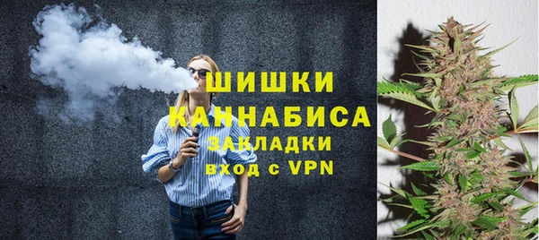 соль ск Арсеньев