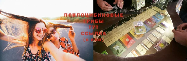шишки Балабаново