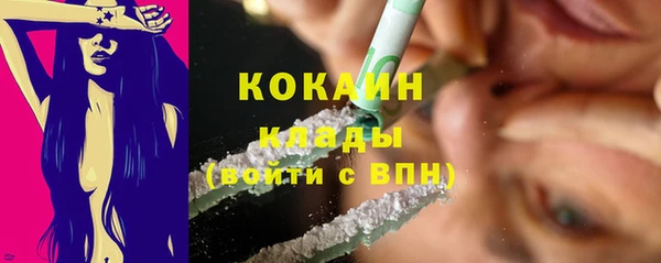 шишки Балабаново