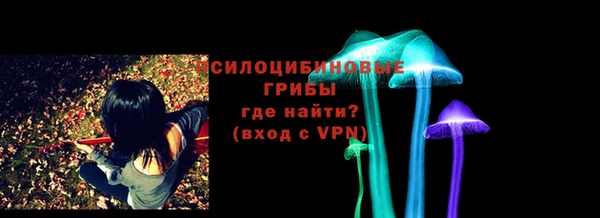 соль ск Арсеньев