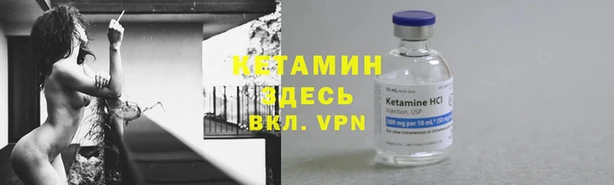шишки Балабаново