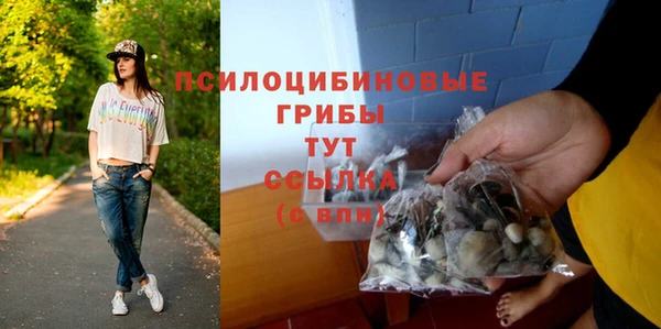 эйфоретик Армянск