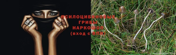 Альфа ПВП Баксан