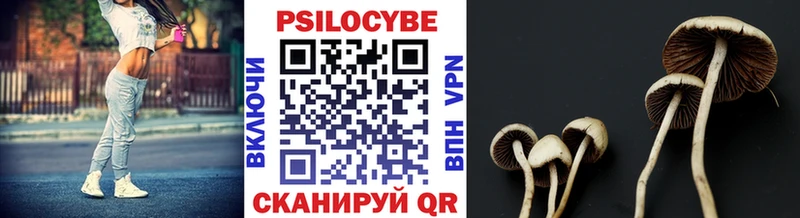 Галлюциногенные грибы ЛСД  Сенгилей 