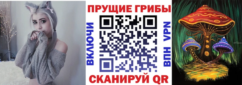 Псилоцибиновые грибы Cubensis Сенгилей