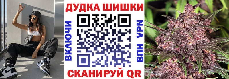 Каннабис сатива  mega сайт  Сенгилей 